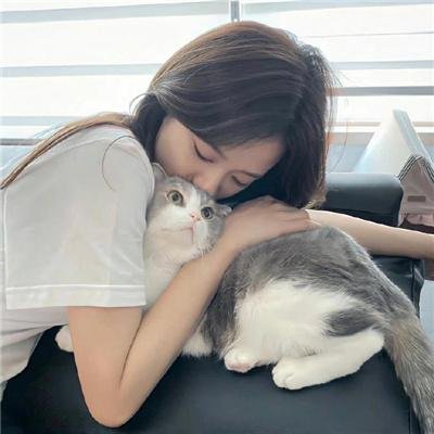 毒舌家庭海报